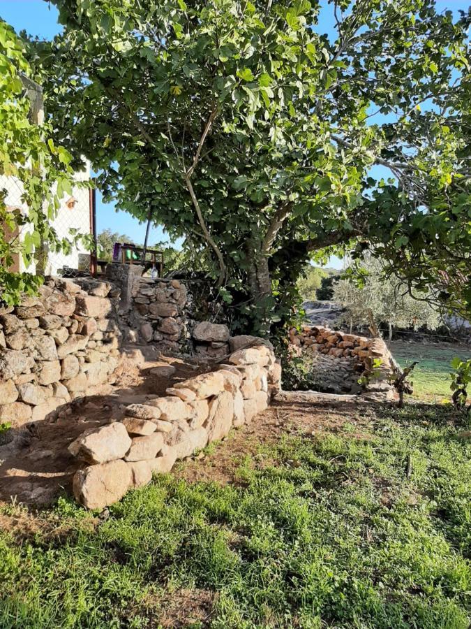 Magic Nature Lodge Marvão Exteriér fotografie