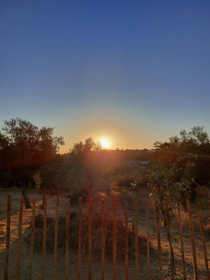 Magic Nature Lodge Marvão Exteriér fotografie
